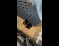 Girl give drop eggs on bestfriend below