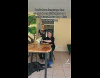 Dog Fist Bumps with Ladys Elderly Father