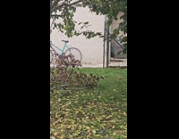 Man amused with squirrel climbing wall 