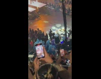 A bunch of people in shark costumes dancing at a concert in a group 
