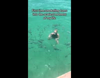 Fishes circling on swimming woman