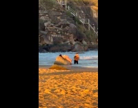 Collab IITW - Woman pregnant lean on the beach rock