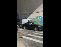 Big dog stares our car window with sunglasses 