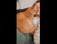 Collab BitchMP - Orange cat gets comfy and puts open mouth on girls ear 