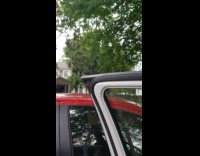 Grey shirt guy whistles birds mimic copy