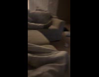 Collab Clips MPUGC2 - Cat having zoomies knocked down sad cup