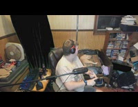 Pet cat on catnip falls from the couch