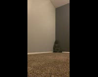 Woman fails handstand and falls