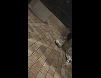 Collab BitchMP - Person in bathroom stall spinning 