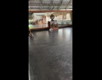 Dog mirror reflection green toy ball guy