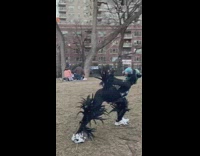 Person in alien bird outfit at park copying person doing yoga