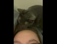 Cat check hair of woman with cockroach