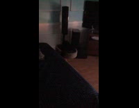 Black cat make weird talking sound to filmer