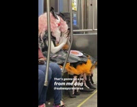 Two twins pink hair white clown makeup orange poofy dress ride subway train