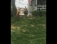 Music Brown Dog Keeps Missing Tennis Ball Going Down Grass Hill