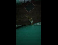 Collab PLC - Cat meows and wants to enter room