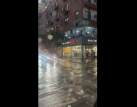 Man crossing carrying giant bear plush