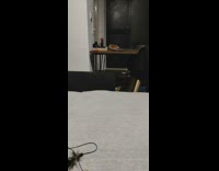 Hyperactive Cat Jumps at Toy then Falls