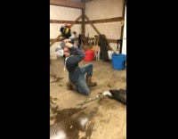 Guy shotguns beer opened by dead black animal turtle