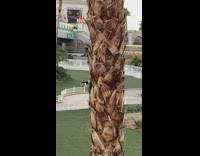 Girls laying down in fake grass las vegas