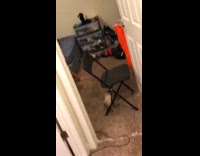 Collab BitchMP - Guy asserts his dominance against his small white kitten 