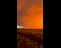 Submitter shows flooded field and sunset