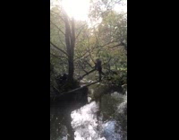 Collab FunBestVids - Woman stands on tree branch and falls into river below after friend climbs on and breaks it