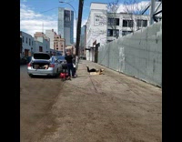 Collab IITW - Leg exercise black fire hydrant resistance band 