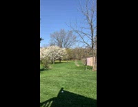 Collab Kale Salad IG - Girl hits ball with bat brother curses