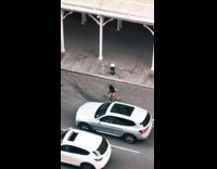 Skateboarder Rides with Dog Down Street