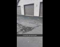 Mans car safe from fallen trees