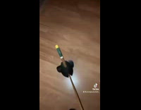 Collab BitchIG2 - Walking duck on stick toy climbs walls 