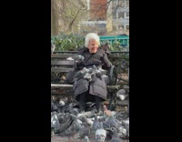 Many Pigeons Flies Toward and Gather Around Lady