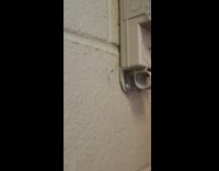 Small spider bounces up and down on the wall