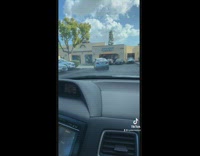 Rat in parking lot gets taken away by hawk after avoiding cars