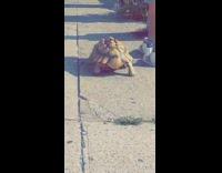 Large tortoise walks outside with owner 