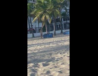White bikini girl selfie palm trees building