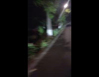 Collab ClipsIG - Guy run chase brown cow street night