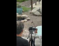 Collab Clips MPUGC - Couple watching butterfly hatch for 3 hours 