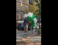 Gold white green balloons blue car window