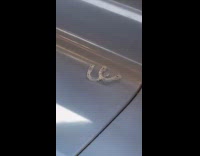 Teeth retainers left on subway train seat 