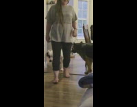 Dog under another dog walks inside house