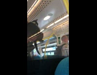Man holds his cat on the train 