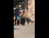 Guy photographs chow chow dog wearing hat 