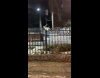 Woman sweater tiktok dance at park bench