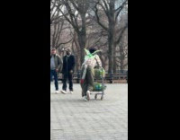 Person with wings and tail at park