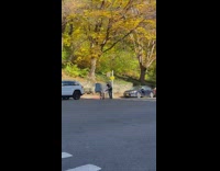 Man Crosses Street with Wide TV on Bicycle