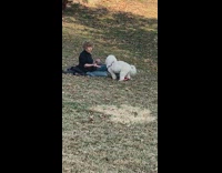 Dog humping old lady's leg at the park
