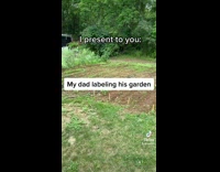 Dad misspells vegetable names for garden 