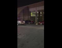 Duck sits in middle of street 